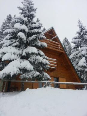 Chalet The Best View